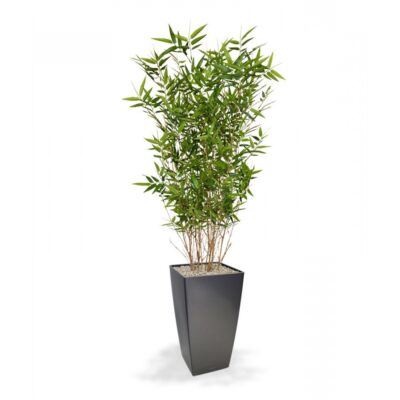 Bambus artificial oriental H100 - imagine 2