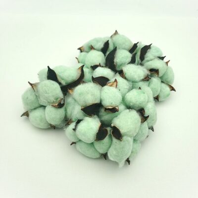 Bumbac verde pal floare 5cm set 15buc