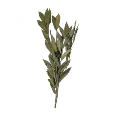 Castan stabilizat verde 80cm - imagine 2