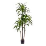 Dracaena copac artificial H125
