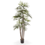 Raphis palmier artificial H170