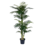 Palmier artificiala Areca Gold premium 180cm