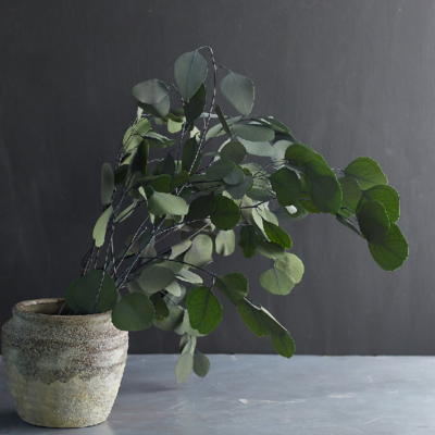 Eucalipt stabilizat banut verde 65cm - imagine 3