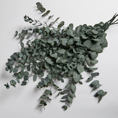 Eucalipt stabilizat CIN verde-gri 65cm - imagine 2