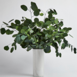 Eucalipt stabilizat banut verde 65cm