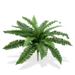 Feriga Boston artificiala tufa D45