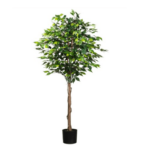 Ficus benjamina artificial trunchi natural h180