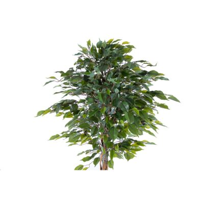 Ficus artificial globular H165 - imagine 3