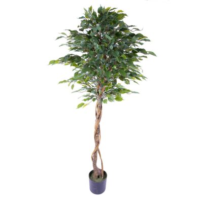 Ficus artificial globular H165 - imagine 4