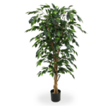 Ficus artificial premium pe trunchi natural h150