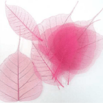 Frunze voal roz set 100buc