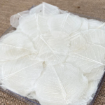 Frunze voal alb set 100buc