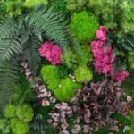 Perete vegetal mix mușchi, licheni si plante conservate - imagine 2