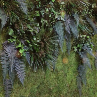 Perete vegetal mix mușchi, licheni si plante conservate - imagine 3