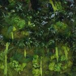 Perete vegetal mix mușchi, licheni si plante conservate