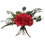 Hortensia stabilizata rosie 50gr - imagine 3