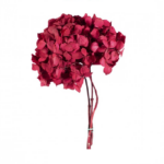 Hortensia stabilizata rosie 50gr