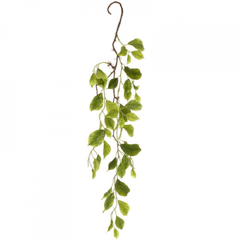 Creative Co-Op Ghirlanda Rotonda In Bosso Conservato - 54,4 Cm - Verde Morbido Per Interni, Zero Manutenzione