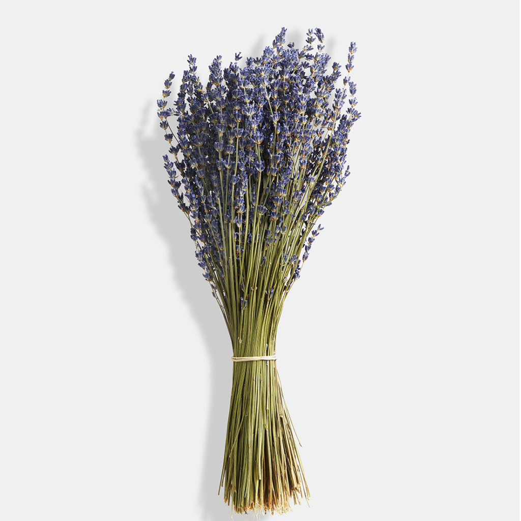 Lavanda englezeasca premium XL set