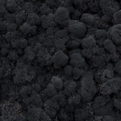 Licheni stabilizati BlackGray 200g-4kg - imagine 2