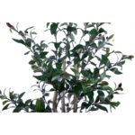 Maslin artificial cu fructe 130cm - imagine 3