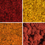 Licheni stabilizati Mix SummerEnd 4x200g