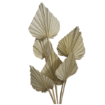 Pachet JUMBO Frunze Palmier Mini Natur x50