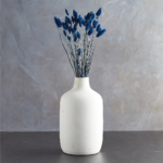 Phalaris albastru intens set 80g - imagine 2