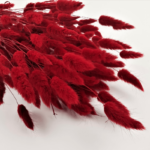 Lagurus rosu inchis 70cm