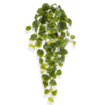 Philodendron curgator artificial H65