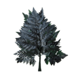 Feriga stabilizata Pteris verde 40cm