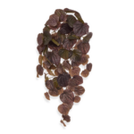 Peperomia planta curgatoare artificiala rosu inchis H60