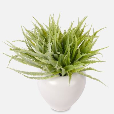 Verdeața artificiala Aloe verde set 12buc - imagine 2