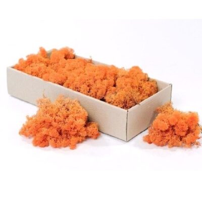 Licheni stabilizati Orange 200g-4kg - imagine 3