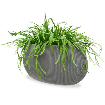 Rhipsalis Lep. mini artificiala H30 - imagine 2