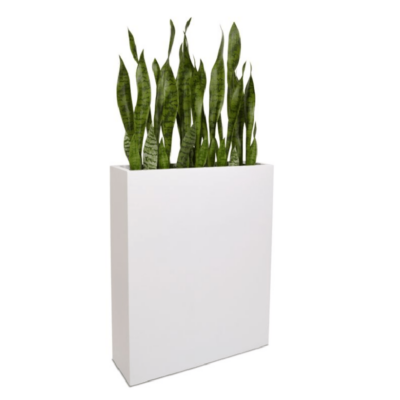 Sansevieria frunza artificiala 60cm - imagine 2