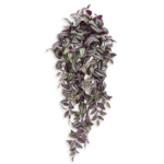 Tradescantia artificiala color H100