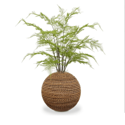 Frunza artificiala Asparagus set 3buc 85cm - imagine 2