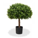 Buxus copacel UV D60