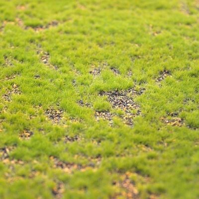 Muschi Artificial carpeta100x100 cm - imagine 3