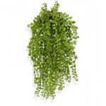 Dischidia curgatoare artificiala UV H40