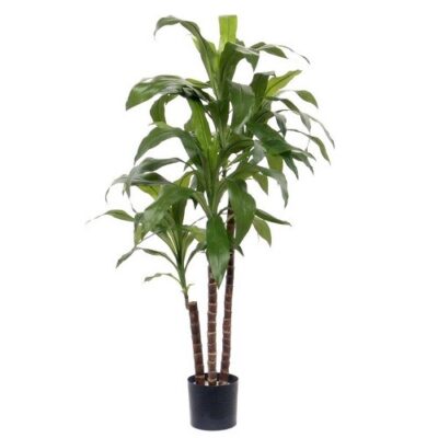 Dracaena copac artificial H90 - imagine 2