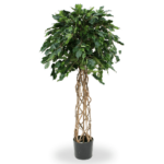 Ficus artificial benjamin pe trunchi natural impletit H150