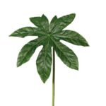 Frunza aralia artificiala H35