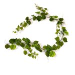 Ghirlanda Pothos artificial color H180