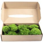 Muschi stabilizat bombat Mini GreenApple 5-8cm - imagine 2