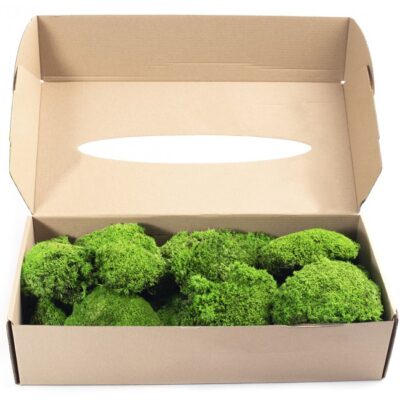 Muschi stabilizat bombat Mini GreenApple 5-8cm - imagine 2