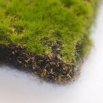 Muschi Artificial carpeta100x100 cm - imagine 2