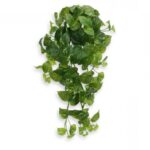 Scindapsus artificial H80 R