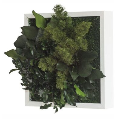 Tablou vegetal Mix Plante stabilizate 25x25cm - imagine 2